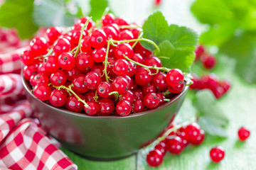 Red currant