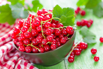 Red currant