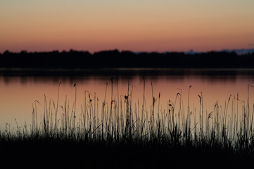 Nordic summer night - at a lake in Sweden