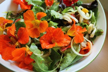 Salade de fleurs