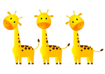 Funny giraffes isolated on white