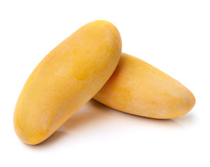 mango isolated on white background