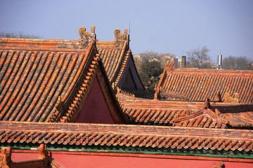 Fototapeta na wymiar les toits de la cité interdite