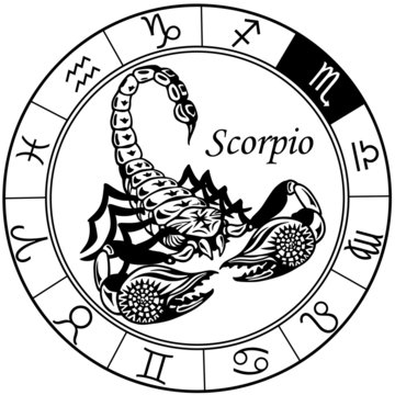 scorpion zodiac black white