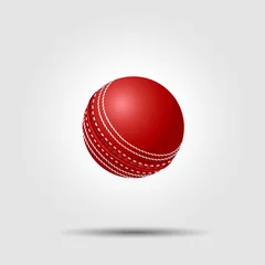 Cercles muraux Sports de balle Balle de cricket sur fond blanc avec ombre