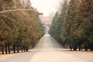 allée vers les tombeaux Ming