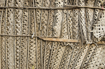 palm tree leaves wall background in Asia