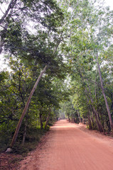 empty red gravel road in Auroville, India