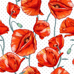 Seamless floral background with red poppy