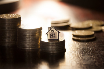 gold coins and house