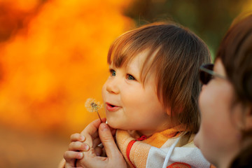 Beautiful child blowing away dandelion flower