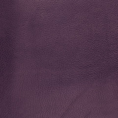 Fototapeta premium Violet leather texture