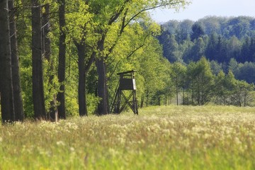 Hunt tower near the forest