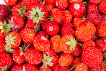 strawberry background