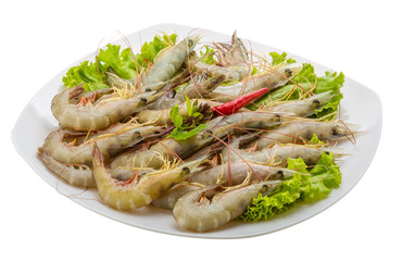 Raw tiger shrimps