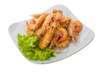 Big tiger shrimps
