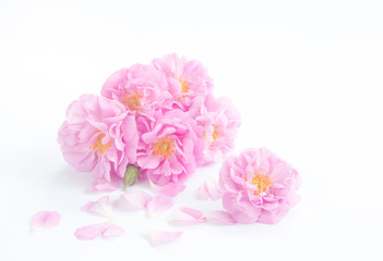 Bunch of roses.