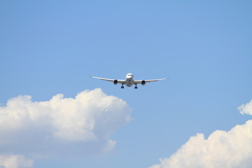 着陸する飛行機(B787)