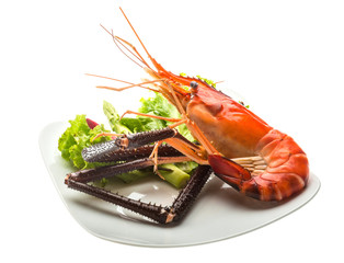 Giant Freshwater Prawn