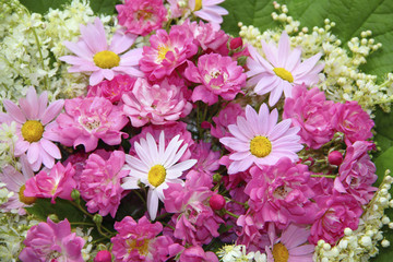 Colorful flower background with pink roses, daisies