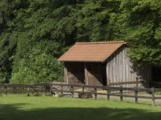 Stall für die Esel mit grüner Weide und Holzgatter im Sommer bei Sonnenschein im Heimat-Tierpark...