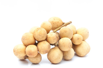 Wollongong isolated on white