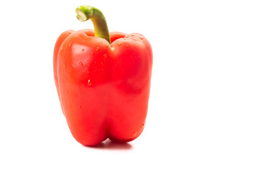 Red pepper with water drops isolated on white background.
