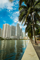 Fototapeta premium Downtown Miami