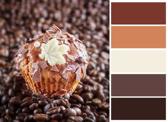 Chocolate muffin  with complimentary swatches.