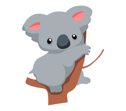 Cute baby koala cartoon