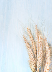 Wheat ears on a wooden background.