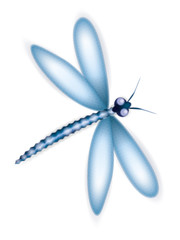 libellule illustration