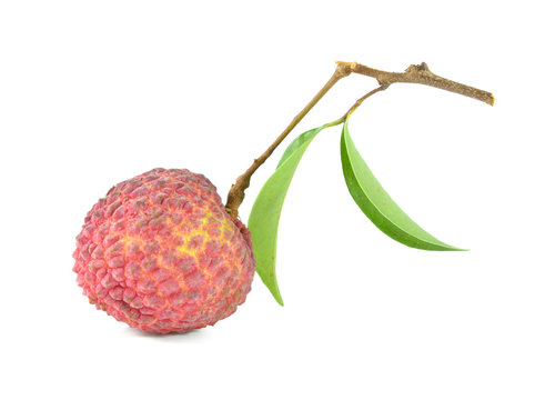 fresh lychees on white background
