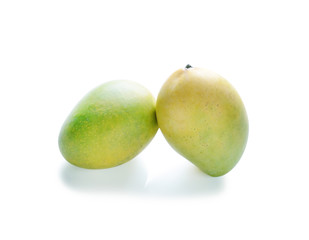 mango  on a white background