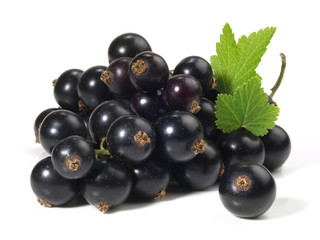 Schwarze Johannisbeeren