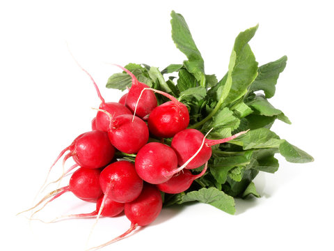 Radieschen