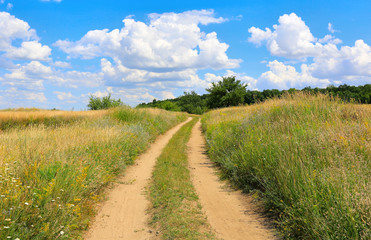pathway in steppe