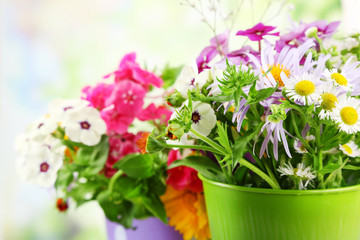 Fototapeta na wymiar Bouquet of colorful flowers in decorative buckets,