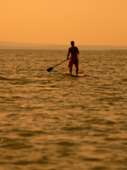 stand-up-paddler at sunset
