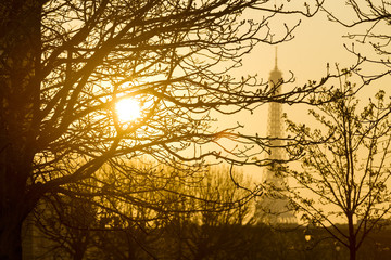 Suggestive View of the Eiffel Tower through Branches at Sunset - 66623316