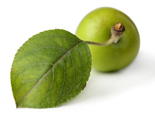 Green apples isolated on white