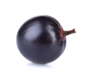 Black currant isolated on white