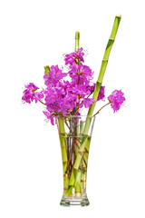 Colorful flower bouquet from purple rhododendron flowers.