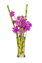 Colorful flower bouquet from purple rhododendron flowers.