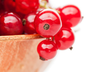 red currant  in plate