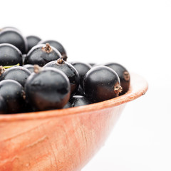 black currant in plate