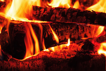 Fireplace with birch firewood and flame.