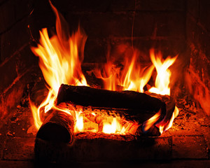 Fireplace with birch firewood and flame. - 66625345
