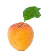 Fototapeta na wymiar Apricot with leaf on a white background