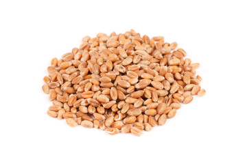Barley